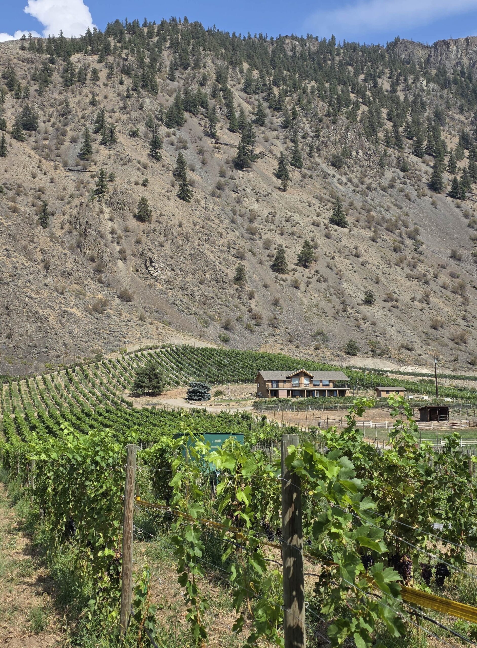 Clos Du Soleil Winery